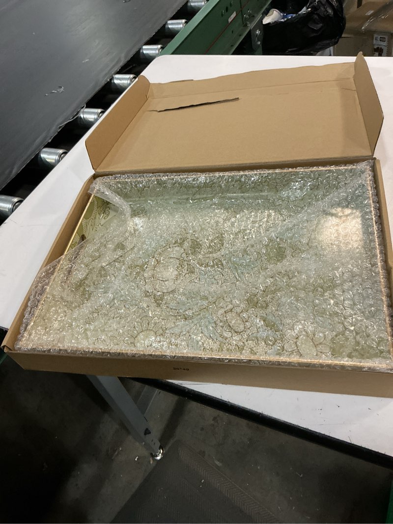 Condition photo showing New/Like New for spsyrine serving tray with handles, plastic decorative tray for coffee table, living room, home decor, dianthus multi d