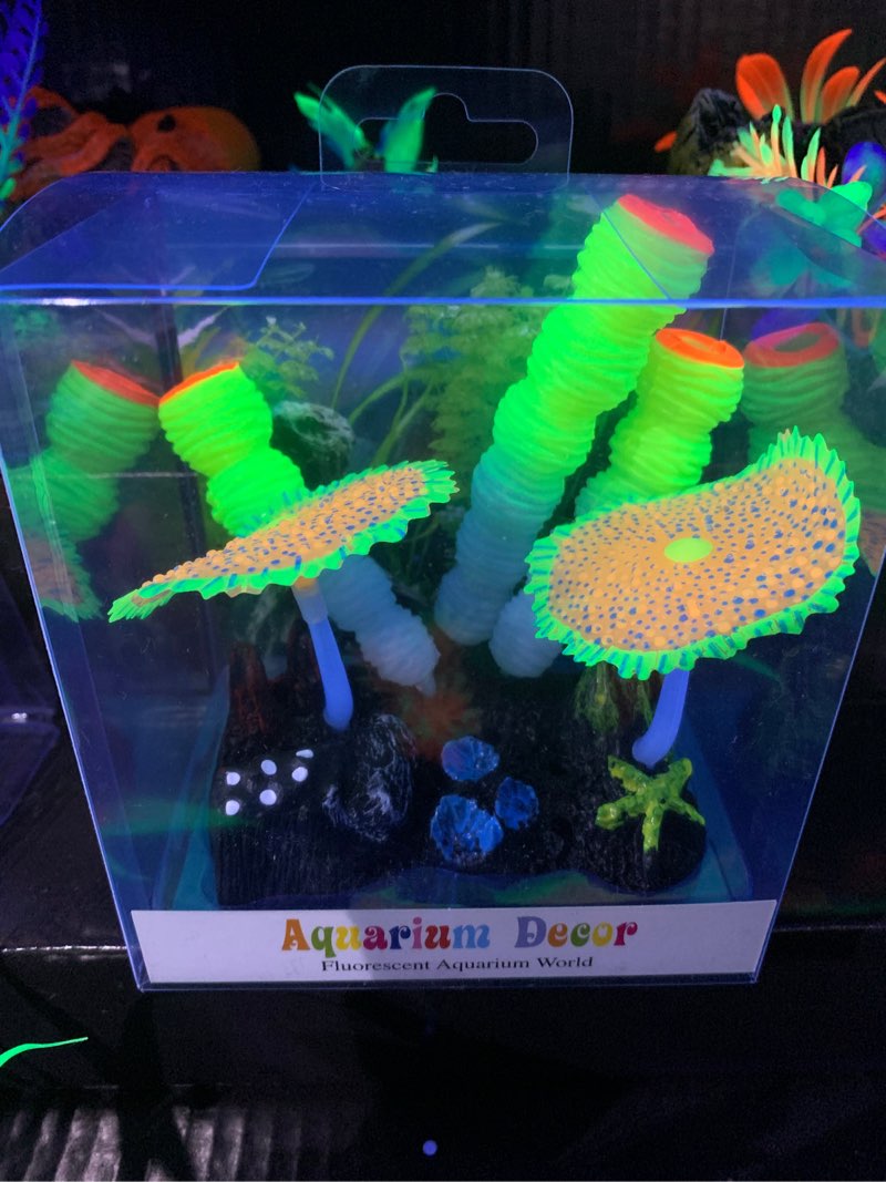(Color may very)Glow Action Sponge and Carpet Corals - Yellow - Aquarium Ornament - saltwater or freshwater