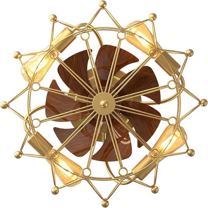 Low Profile Caged Ceiling Fan with Lights Remote Control, Flush Mount Modern Industrial Ceiling fans, 6 Speeds Reversible Blades, Ferris wheel style, Include Bulbs, Gold…