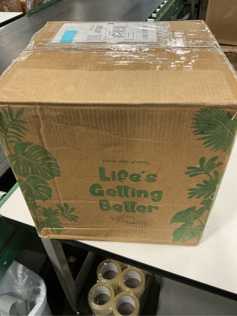 https://lotting-media.assets.bidfta.com/lotting_555ad227-bc98-49c6-9f0b-b407009de8b7