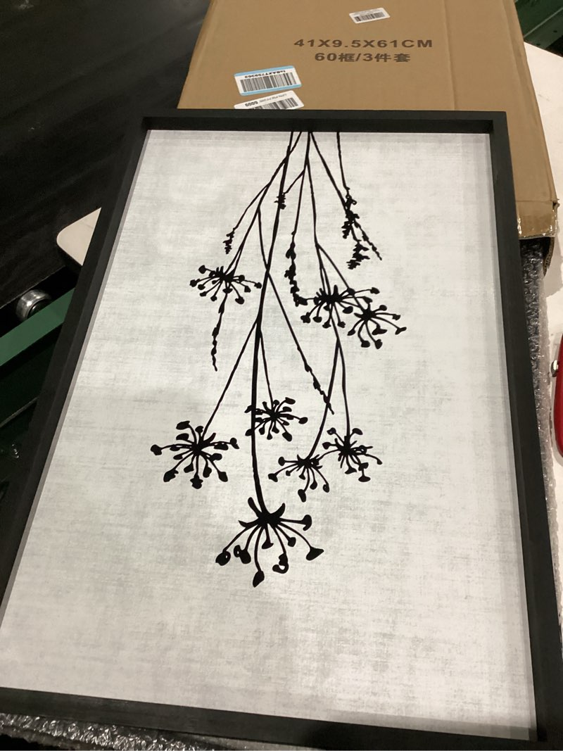 Condition photo showing Good Condition for Flower Plant Wall Art Decor 24"x16" Set of 3 Black And White Botanical Painting Wood Framed For Minimalist Bedroom Office Rustic Living Room Abstract Wildflower Sign Hanging (Wood Black)