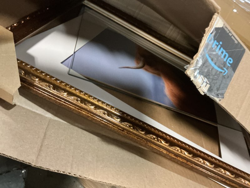 Condition photo showing As Is for Gold 16x20 Picture Frame with Mat, Vintage Wood Photo Frame for Real Glass, Matted 11x14 or 16 x 20 Photos, Easy Photo Changes, Wall Hanging, Ornate Antique Wall Art Bronze 16x20 inch(Matted 11x14)