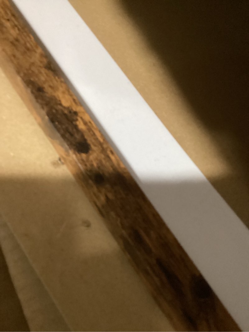 Condition photo showing Good Condition for A2 Picture Frame with A3 Mat, Display 11.7x16.5 inch A3 with Mat or 16.5x23.4 inch A2 without, Wood 16.5 by 23.4 Photo Frame, 16.5 x 23.4 Frame for Wall Hanging, Deep Brown 1 A2, 16.5x23.4 inch