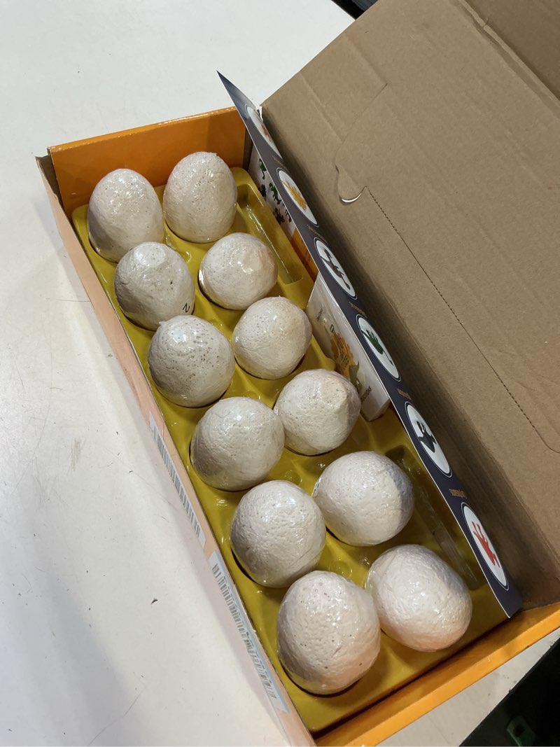 Condition photo showing Good Condition for dan&darci dig a dozen dino egg kit for kids - easter basket stuffers - dinosaur toys gift 3-12 year old - 12 eggs & surprise dinosaurs - science stem activities - boy toy party gifts for boys & girls
