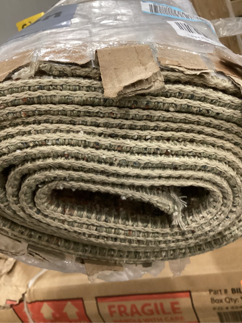 Condition photo showing Good Condition for Loloi Amber Lewis Molly Collection MOL-09 Brick/Bark 11'-6" x 15'-6" Low Pile Area Rug Brick/Bark 11'6" x 15'6" (Rectangular)