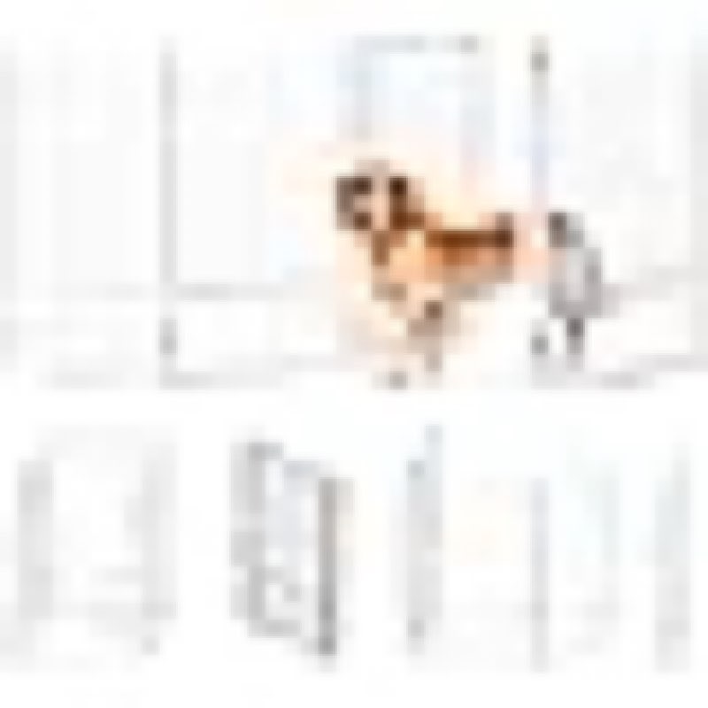 Full Metal Freestanding Dog Gate with Door, 32''Height Foldable Pet Dog Fence for Indoor & Outdoor, 4 Panels Extra Wide Free Standing TallDog Gates for Doorways,House,Stairs,Porch,Deck,Yard