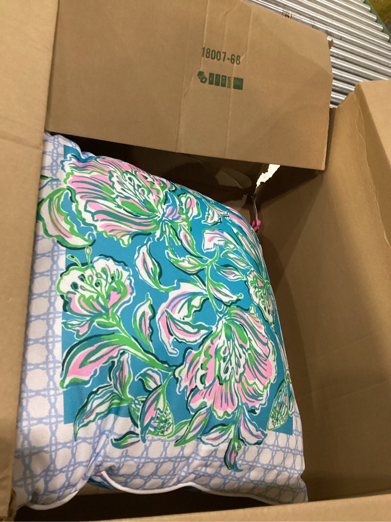 Lilly Pulitzer 20" Square Decorative Throw Pillow for Indoor and Outdoor, Throw Pillows for Bed or C