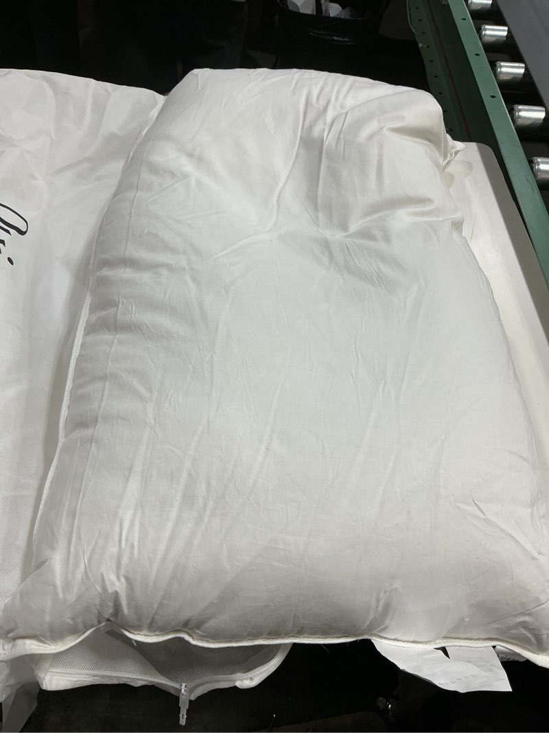 Condition photo showing Good Condition for quince luxe goose down pillow king 
