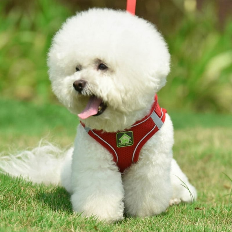 dog harness with leash set, no pull adjustable reflective step-in puppy pet vest harnesses for small