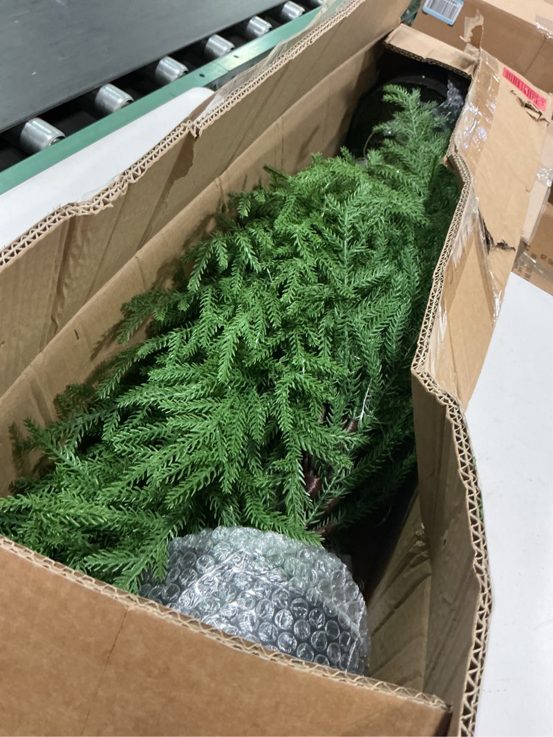 Condition photo showing Good Condition for 4FT Pre-Lit Artificial Norfolk Pine Christmas Tree – Realistic Potted Tree with 100 LED Lights & 8-Function Battery Box, Pre-Assembled Faux Holiday Décor for Indoor Use (2)