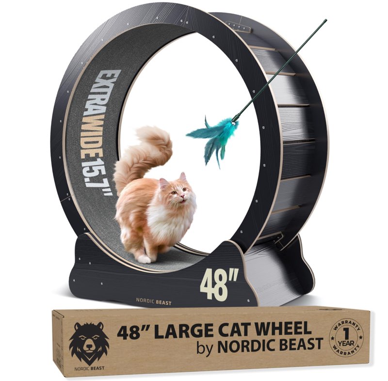 48'' XL Cat Wheel - Cat Wheels for Indoor Cats 
