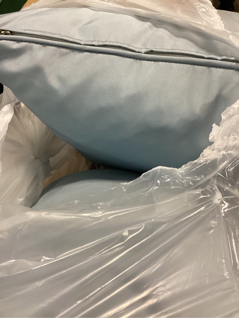 Condition photo showing As Is for blue pillows 2ct
