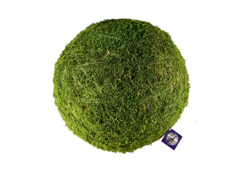 SuperMoss (21775) Preserved Moss Ball – Natural Green Decor for Home, Weddings & Events – Vase Fille