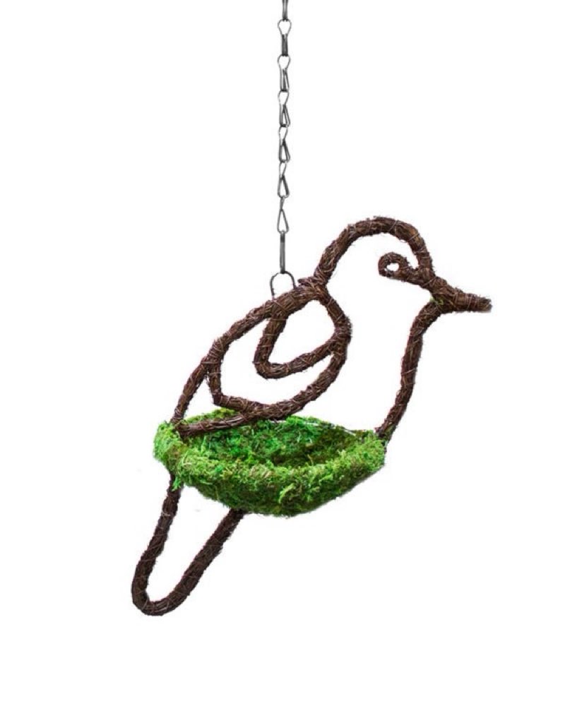 galápagos reptile gear Gal pagos Dove Bird Feeder