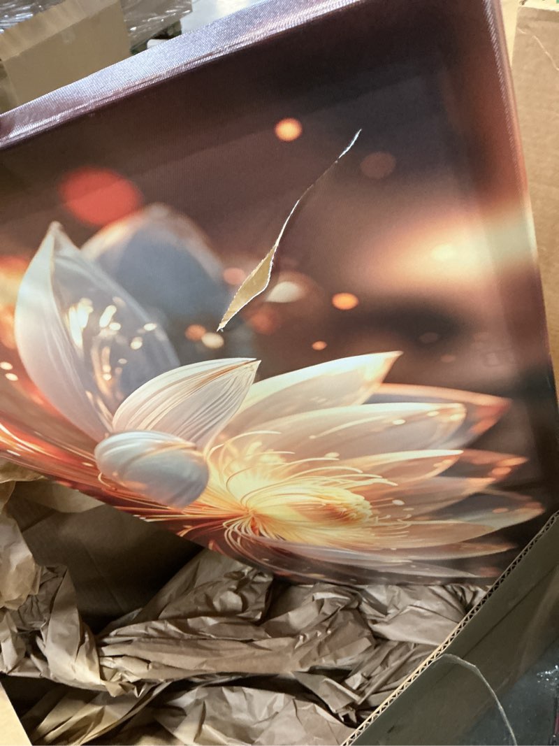 Condition photo showing As Is for SIXTTART Lotus Flower Wall Art Bedroom Decor - Floral Pictures for Living Room Wall Decoration - Home Office Decor for Women Size 20" x 40"