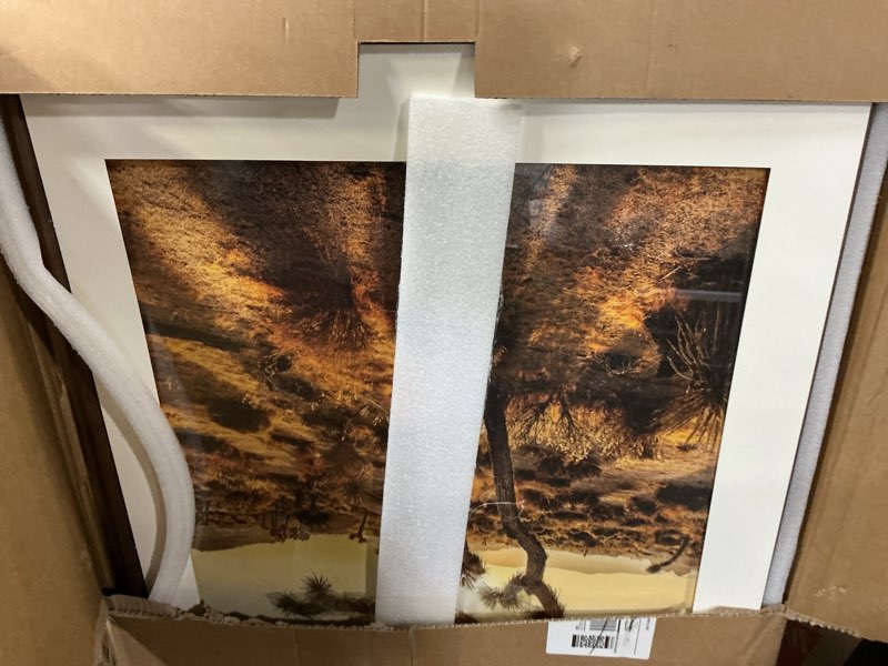Condition photo showing As Is for richfocus 24x36 picture frame usa-sourced natural walnut solid wood photo frame handcrafted rounded corner wooden frame with real glass display photos 20x30 with mat or 24x36 without mat 24x36-1pc walnut