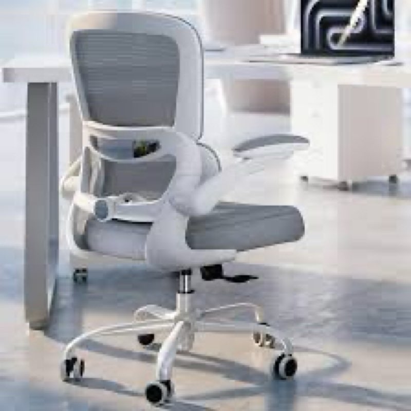 TRALT Office Chair - Ergonomic Desk Chair with Adjustable Lumbar Support, Mesh Computer Chair, Executive Chairs for Home Office Comfortable Lumbar Support (Gray )