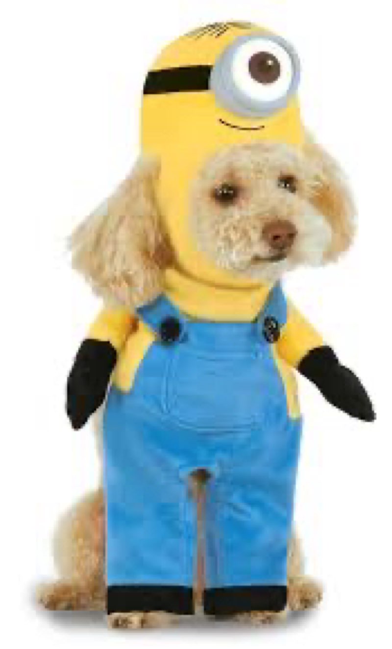 Despicable Me: Minion Stuart Pet Costume for For Dogs or Cats by Rubies, Large