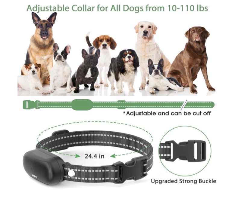 Dog shock collar