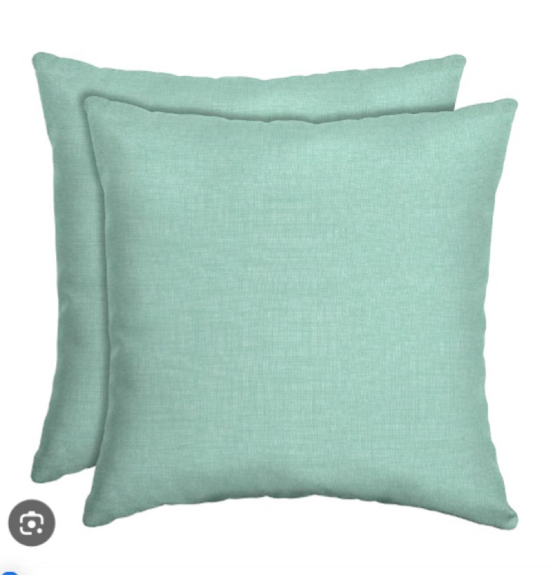 ARDEN 2-Pack Solid Aqua Leala Square Throw Pillow in the Outdoor (missing 1 pillow)
