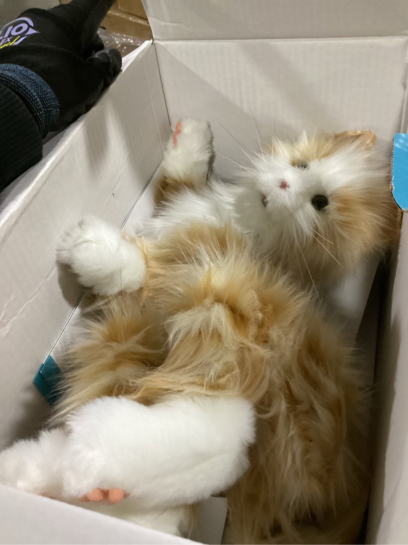 Condition photo showing Good Condition for joy for all companion pet for seniors - lifelike animatronic cat - realistic soft-touch fur & purring - therapy stuffed animal - toy for alzheimer's & dementia - orange tabby orange tabby cat
