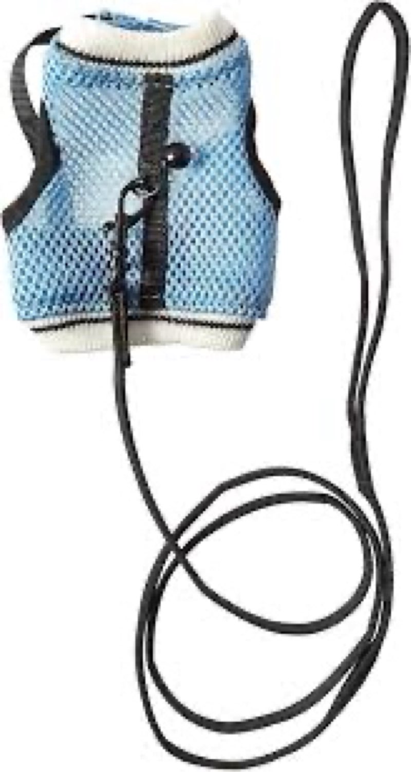 Ware Manufacturing Nylon Walk-N-Vest Pet Harness and Leash for Small Pets, Extra Large - 10”-12” neck 14”-16” body 