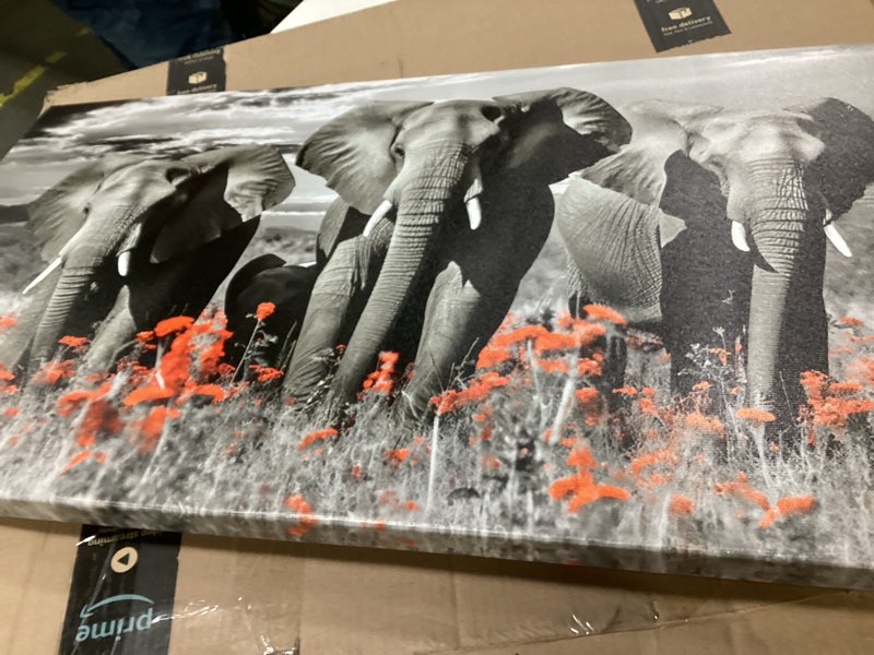 Condition photo showing Good Condition for NutArtPic African Elephants Canvas Wall Art Sunset Elephants Pictures Wildlife Animal Artwork Prints On Wrapped Canvas For Home Decor 36''L x 20''W (Black White)