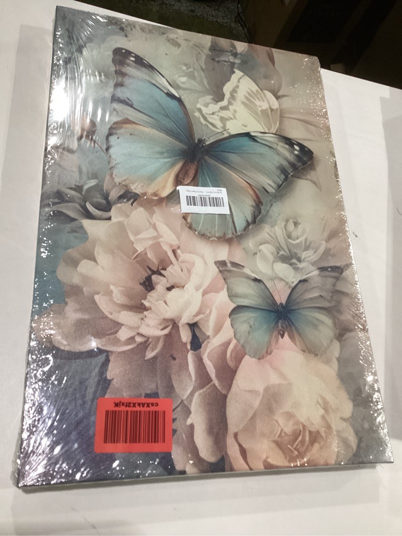 Condition photo showing Good Condition for 3pcs butterfly and floral canvas wall art pink elegant peony florals wall decor pictures rustic farmhouse floral posters prints paintings for living room bedroom bathroom decoration prepare to hang butterfly flowers 24l" x 16w"-canvas