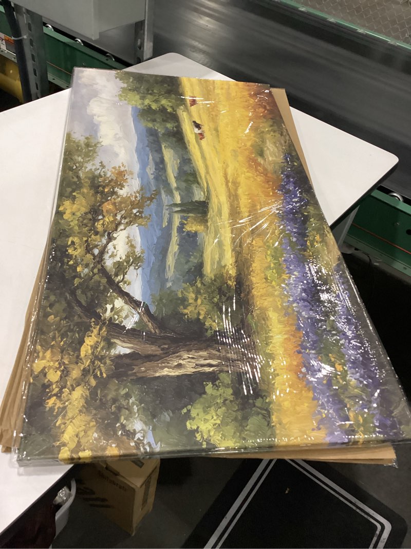 Condition photo showing New/Like New for DIFFERENT SIZE 20x60 approx SIMILAR TO Large Canvas Wall Art Texas bluebonnet field sunrise Canvas Prints Framed Painting Modern Artwork Abstract Stretched Poster Home Decoration Unique Gift 30\"x60\" Multi2 60\"L x 30\"W