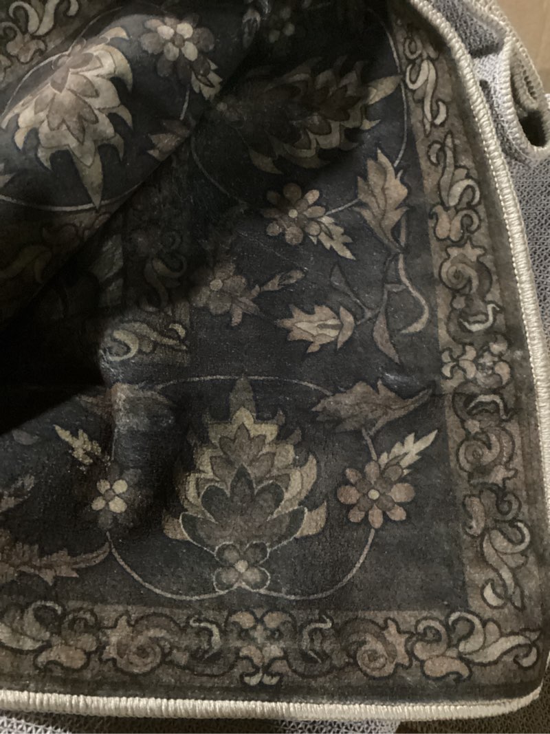 Condition photo showing As Is for dcx machine washable black area rug 8x10, non slip stain resistant vintage area rug for living room diningroom bedroom nursery, soft low pile large carpet black 8' x 10'