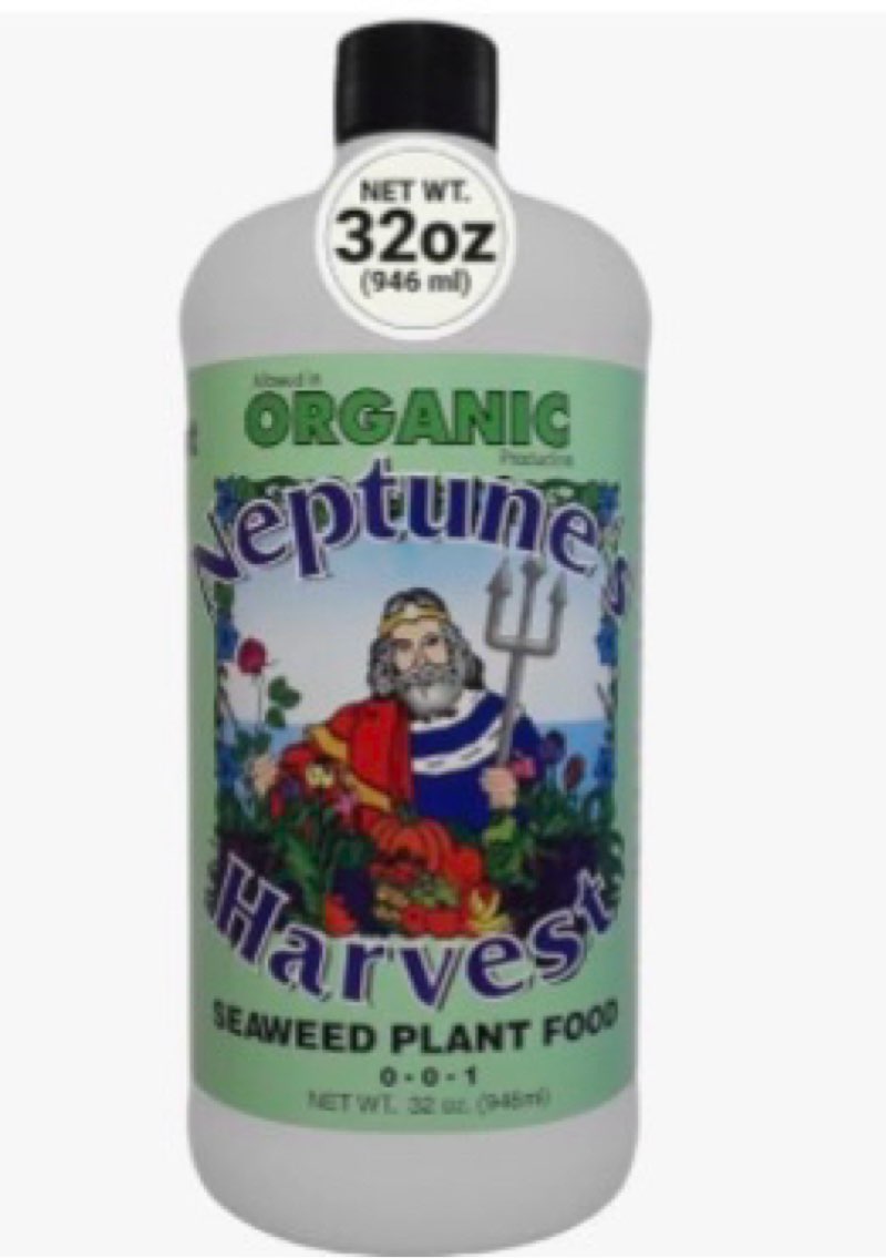 Neptune's Harvest of Seaweed Blend Liquid Fertilizer