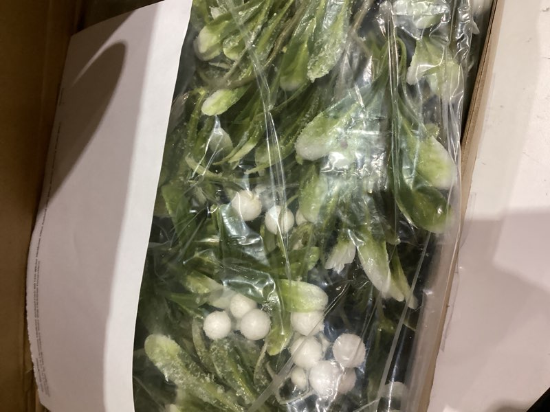 Condition photo showing Good Condition for janinka 4 pcs 24 ft christmas mistletoe garland each 6ft led winter mistletoe olive garland with white berries greenery wreath warm string lights for mantle fireplace stairs wall christmas decorations
