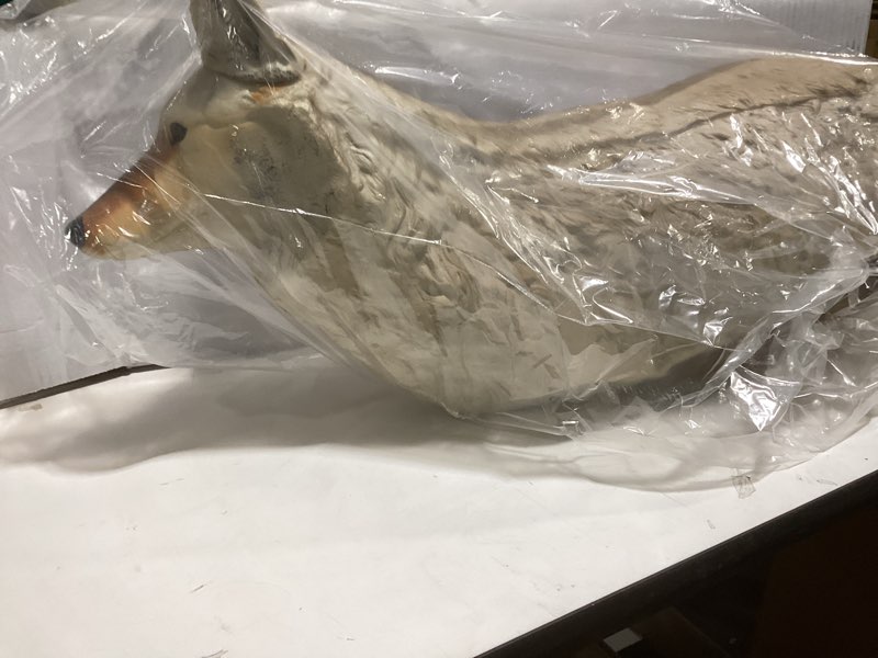 Condition photo showing Good Condition for Flambeau Outdoors 5985MS-1 Lone Howler Coyote Decoy, One Size