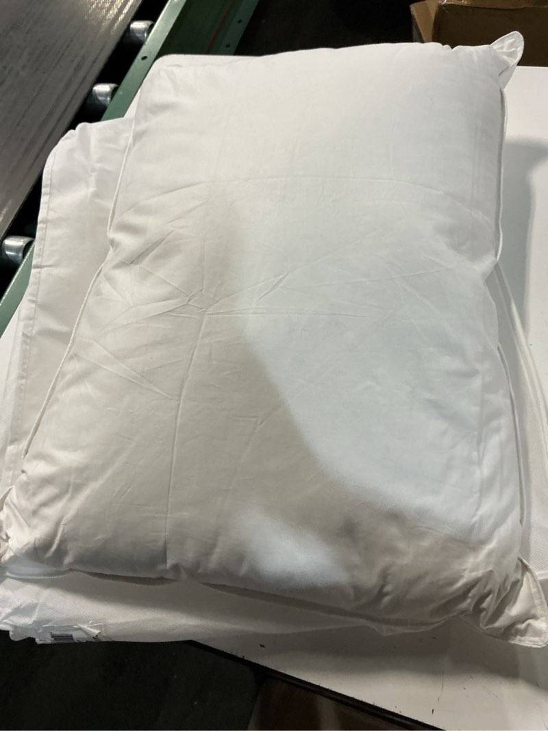 Condition photo showing Good Condition for premium down pillow, standard, medium