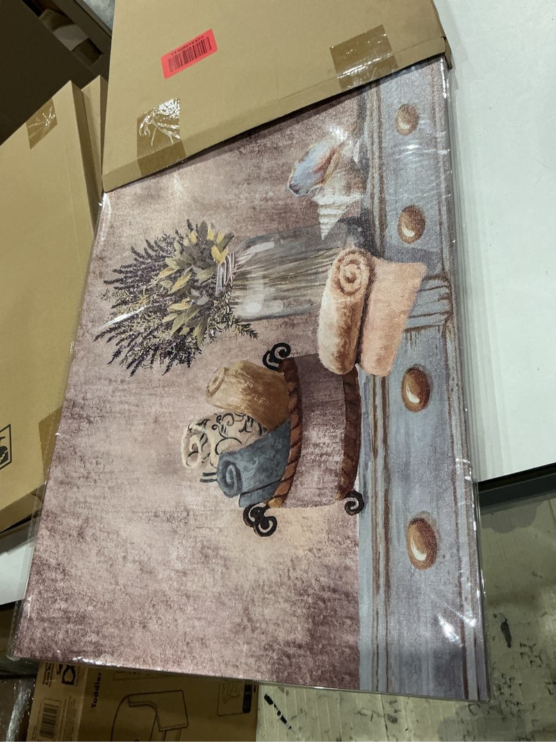 Condition photo showing Good Condition for farmhouse canvas wall art flowers wall decor brown theme rustic framed artwork for bathroom vintage paintings pictures wall decor for bedroom kitchen modern country home wall decoration size 12x16 16"l x 12"w brown