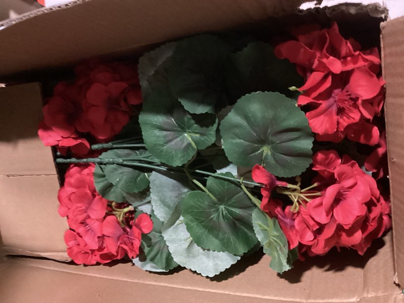 Condition photo showing Good Condition for hananona artificial geranium flowers for outdoors geranium silk flowers outdoor uv resistant garden plants faux flowers for home kitchen table centerpieces decor (12, red