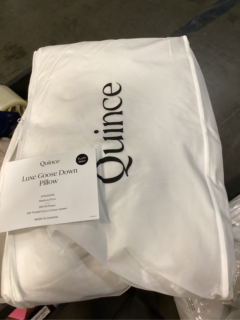 Condition photo showing Good Condition for quince luxe goose down pillow, standard