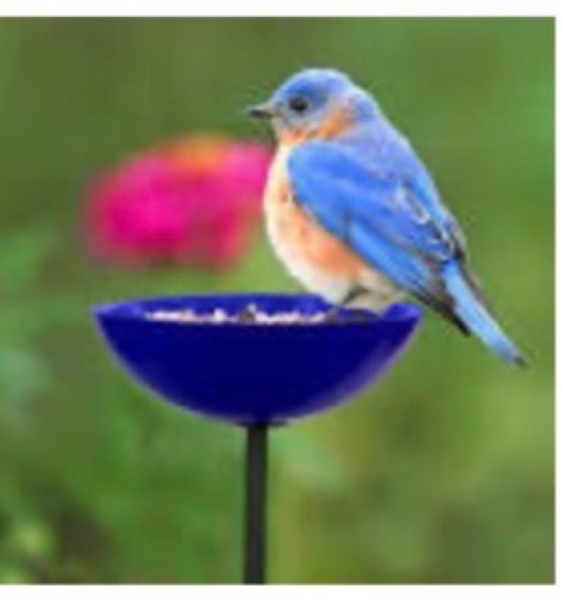 COURM38720015 Poppy Stake Feeder  Cobalt Blue