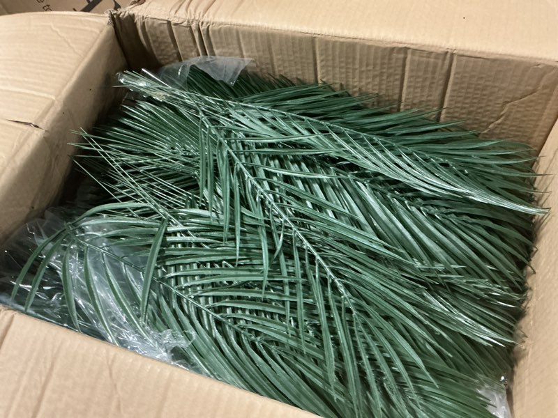 Condition photo showing Good Condition for jexine 200 pcs easter palm leaves for palm sunday artificial fake branches tree stems large faux greenery plants fronds for church holy week hawaiian jungle wedding party decoration (18.9 x 7) 200 18.9 x 7"