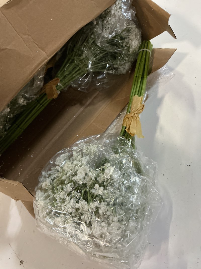 Condition photo showing Good Condition for retrowavy 250 pcs babys breath artificial flowers bulk babys breath flowers gypsophila bouquets with faux eucalyptus stems leaves for wedding bouquet party filler home decor