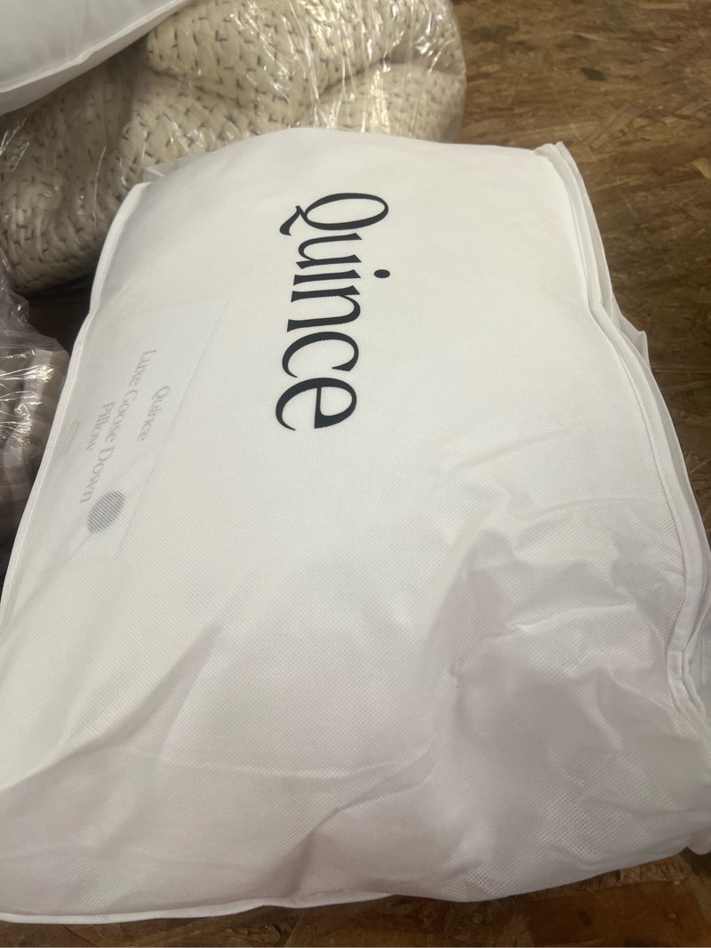 Condition photo showing Good Condition for luxe goose down pillow, standard, medium/firm