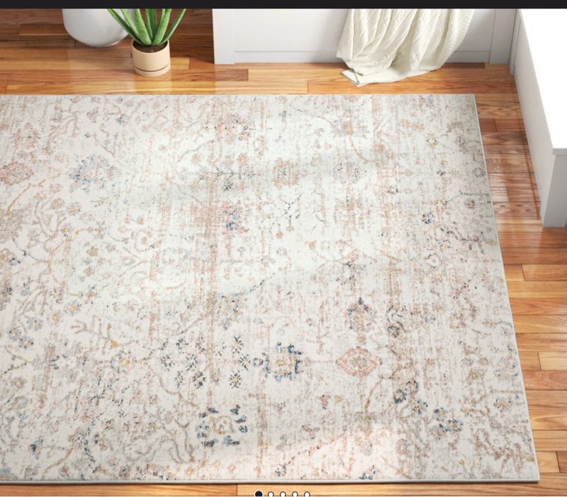 Ultra Soft Beige Machine Washable Oriental Area Rug For Living Room, Bedroom Rug Size: Rectangle 9' x 12'