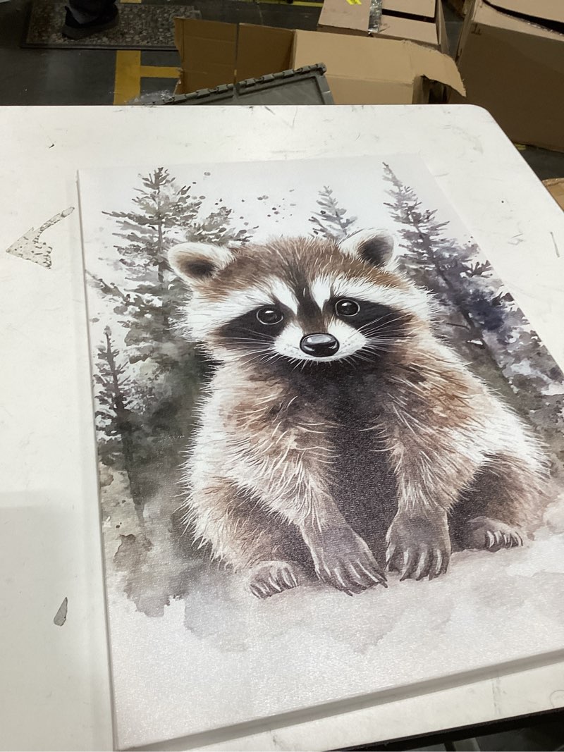 Condition photo showing As Is for decorative picture