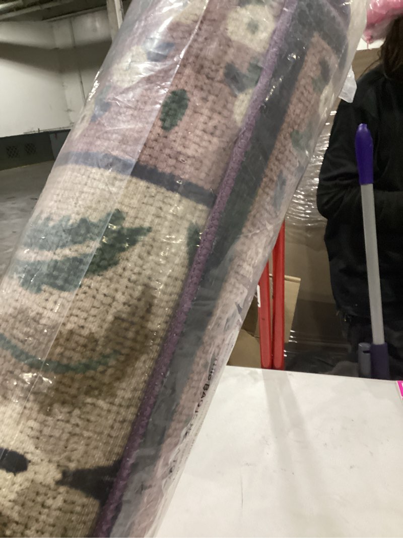 Condition photo showing Good Condition for Loloi Rifle Paper Co. Canopy Collection CNP-03 Aubergine 6'-0" x 9'-0" Area Rug Aubergine 6' x 9' (Rectangular)