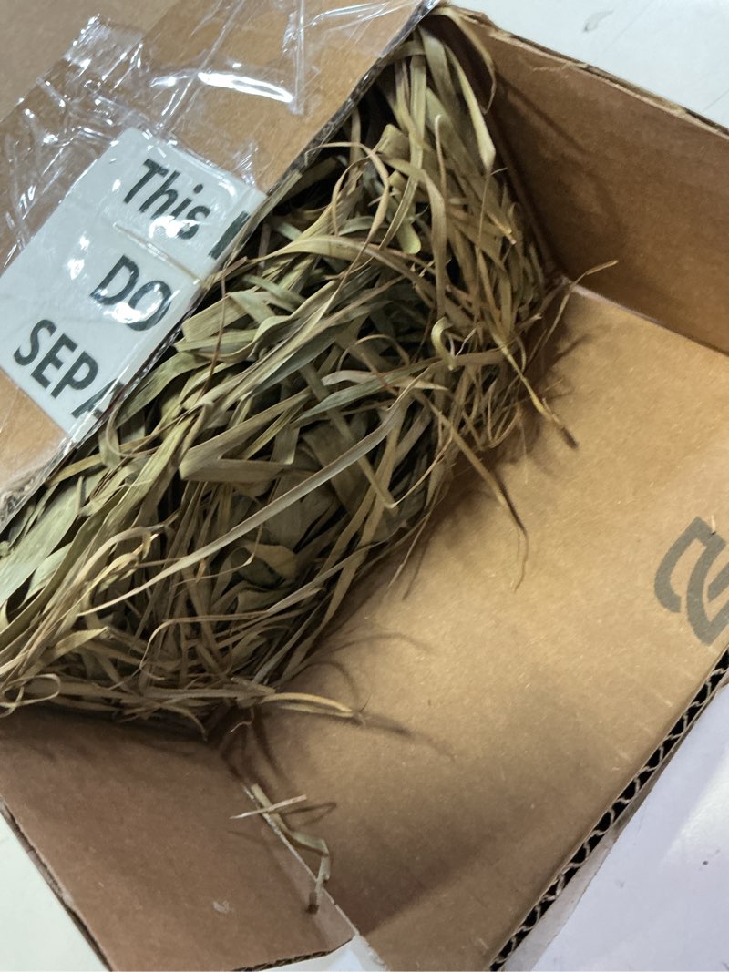 Condition photo showing Good Condition for layhit 3 pcs 4.3ft jumbo natural dried palm leaves tall boho home decor tropical dried palm leaves rustic wedding centerpieces for home wedding farmhouse party anniversary boho decor