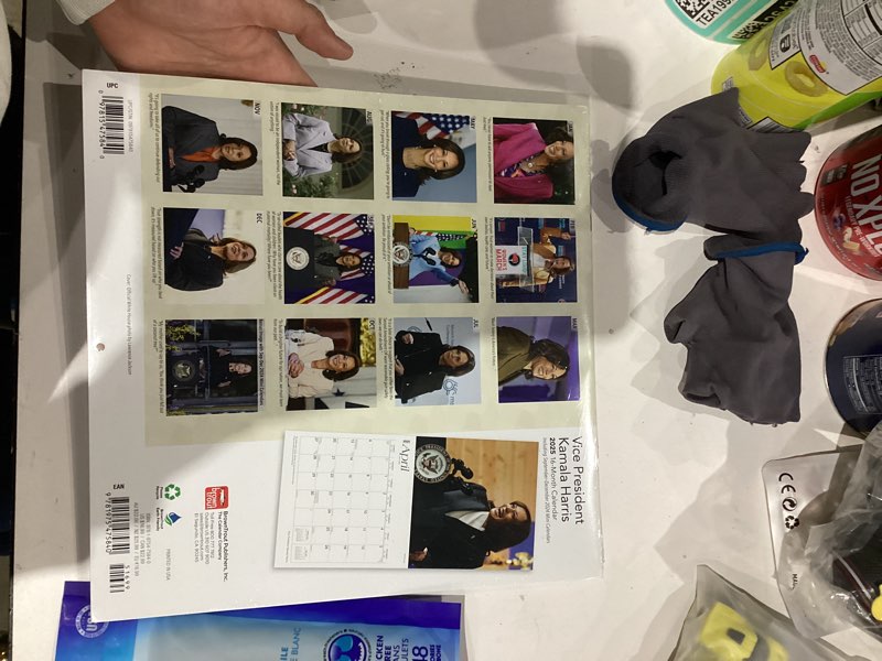 Condition photo showing New/Like New for Vice President Kamala Harris | 2025 12 x 24 Inch Monthly Square Wall Calendar | Plastic-Free | BrownTrout | Democratic Party VP Politician Senate