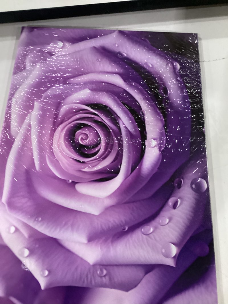 Condition photo showing New/Like New for rose wall art purple flower canvas prints romantic rose flower paintings floral pictures wall decor for living room bedroom bathroom decor framed(rose-2,16.00" x 24.00") rose-2 16"l x 24"w