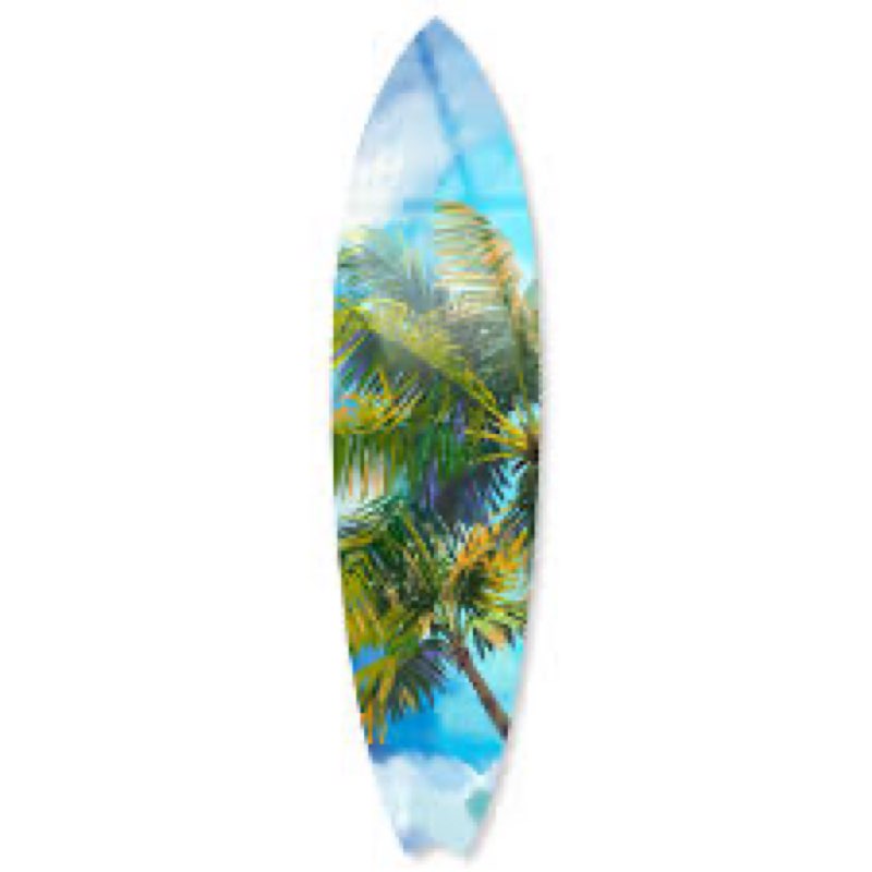 Clear Sky Palm Surfboard Acrylic Coastal Wall Art by Notoriart