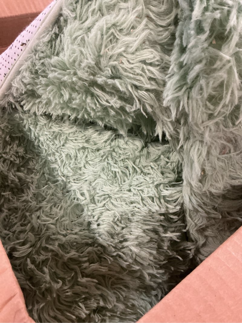 Condition photo showing As Is for pettop fluffy sage green rug for bedroom living room, 8x10 feet super soft shaggy plush fuzzy rugs for girls kids boys, non-slip and washable rug for nursery classroom, carpet for rooms decor 8' x 10' (rectangular) green