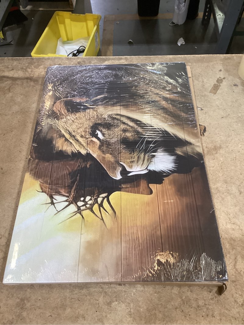 Condition photo showing New/Like New for fantasy artists framed jesus christ canvas wall art the lion of judah christian painting prints biblical wall decor religious room decor for church prayer room christian schools hospitals 12" x 16" 16"l x 12"w jesus 5